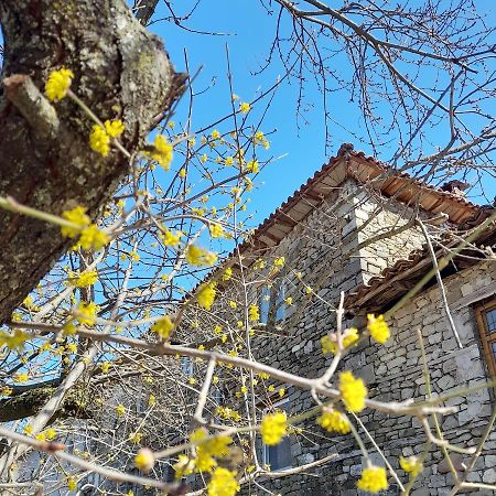 Bujtina Tusha Hotel Priska e Madhe Kültér fotó