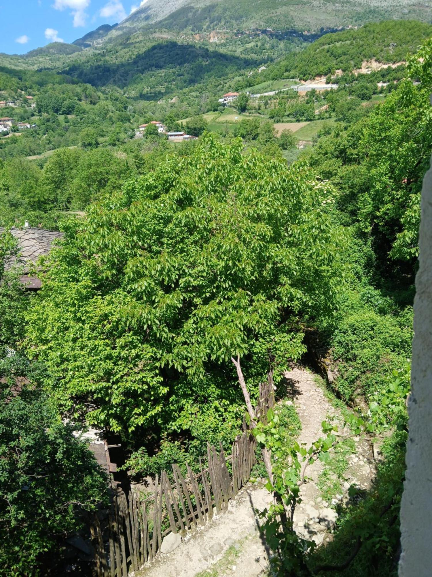Bujtina Tusha Hotel Priska e Madhe Kültér fotó