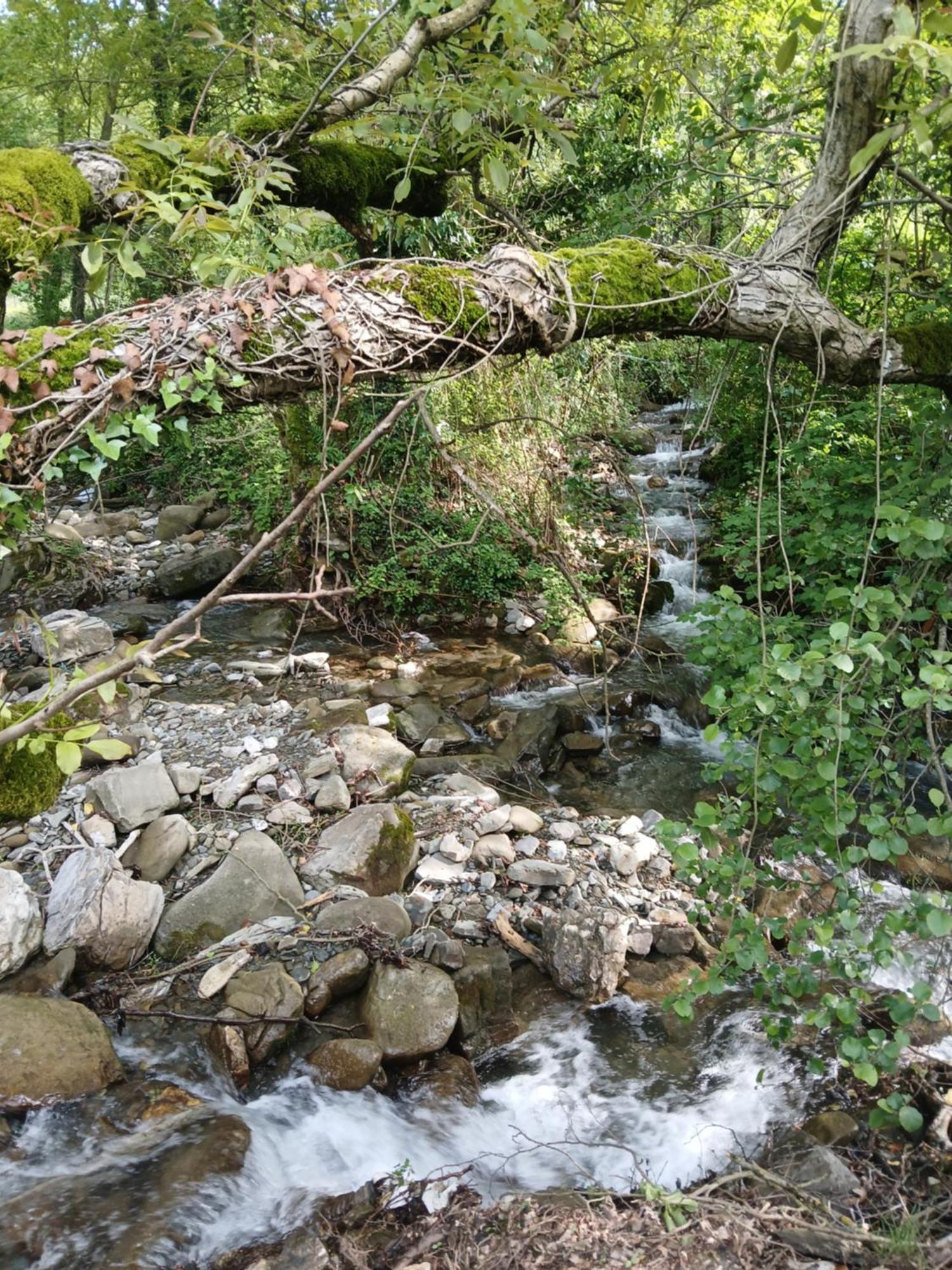 Bujtina Tusha Hotel Priska e Madhe Kültér fotó